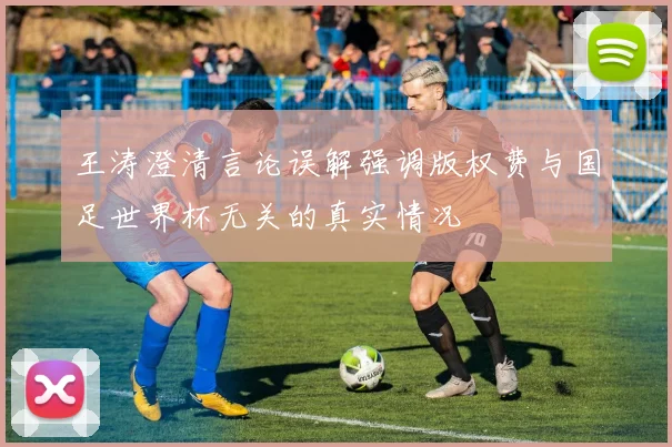 王涛澄清言论误解强调版权费与国足世界杯无关的真实情况